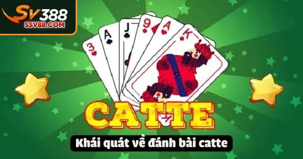 Giới thiệu về bài catte Sv88