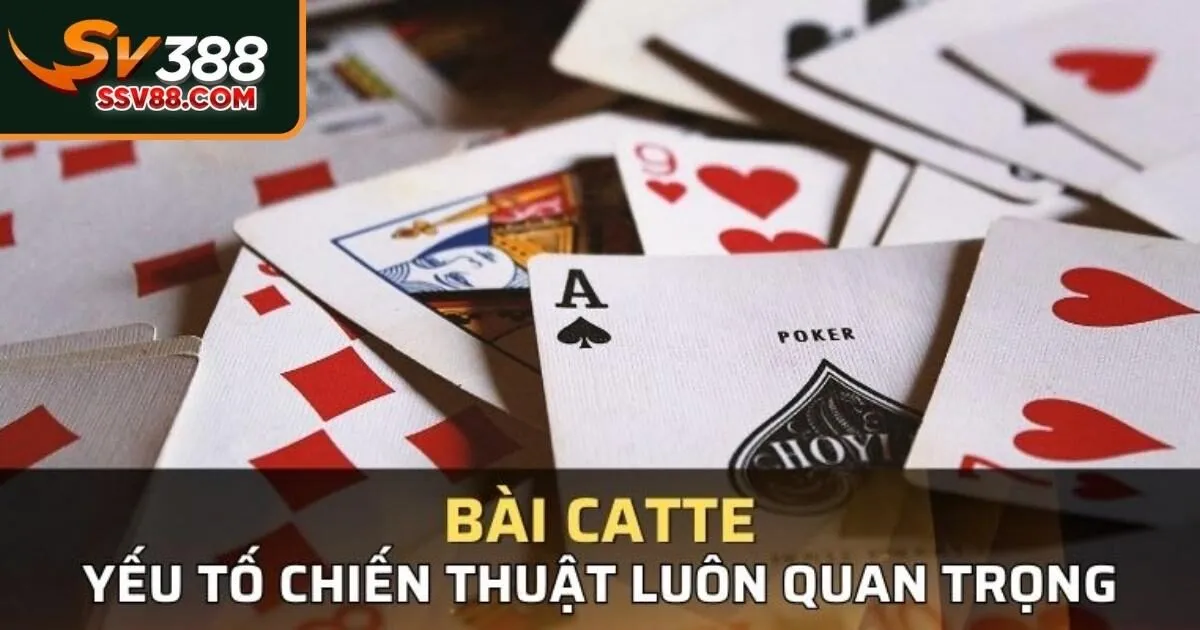 Mẹo chơi bài catte Sv88 chắc thắng