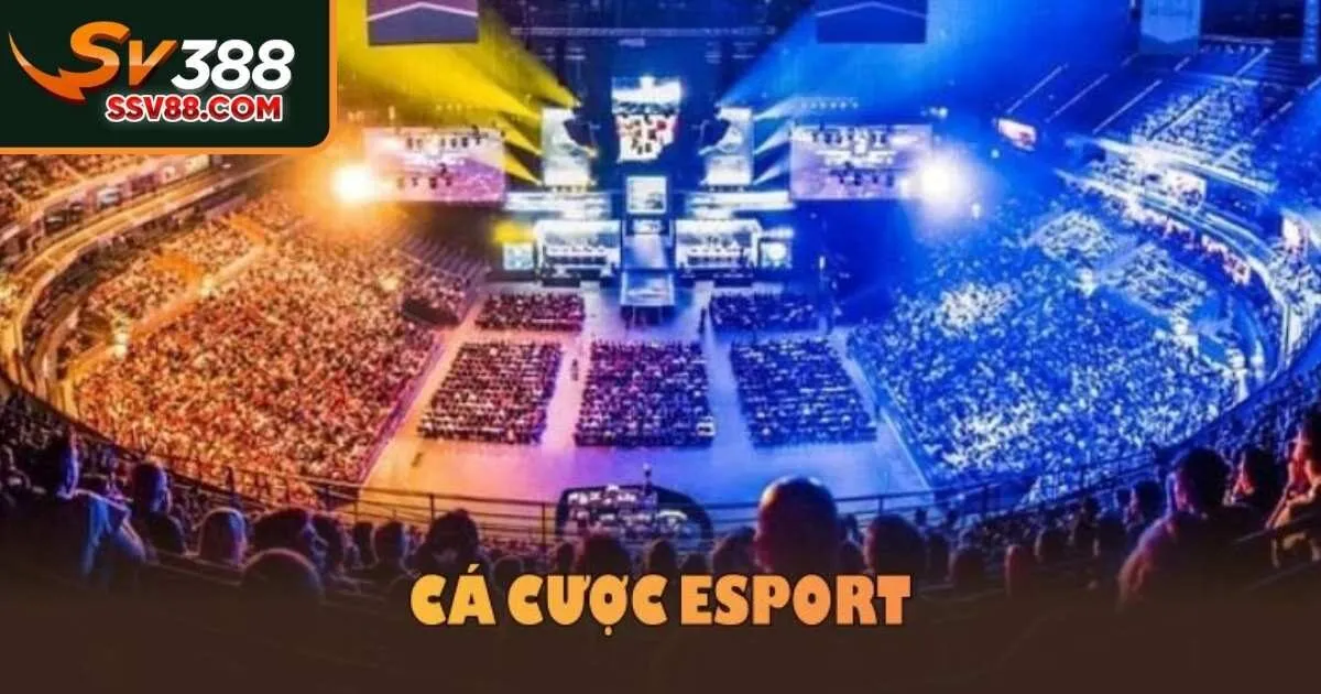 Top các trò chơi thuộc sảnh cá cược Esports Sv88