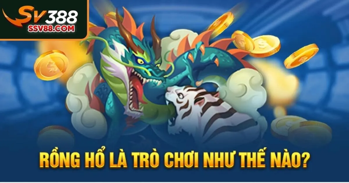Rồng hổ Sv88 là gì?